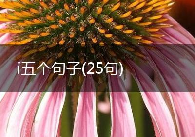 i五个句子(25句)