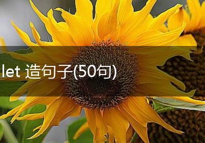 let 造句子(50句)