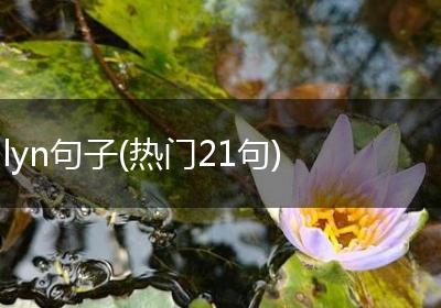 lyn句子(热门21句)