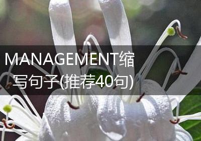 MANAGEMENT缩写句子(推荐40句)