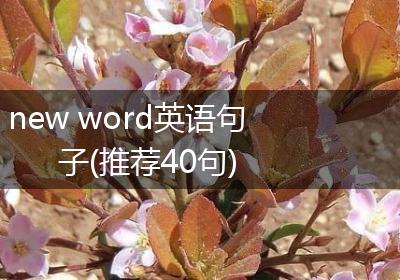 new word英语句子(推荐40句)