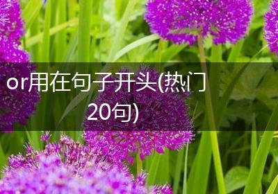 or用在句子开头(热门20句)
