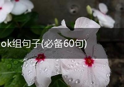 ok组句子(必备60句)