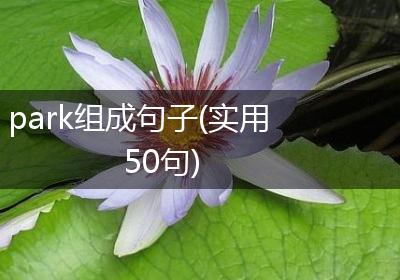 park组成句子(实用50句)