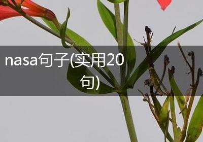 nasa句子(实用20句)