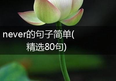 never的句子简单(精选80句)