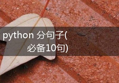 python 分句子(必备10句)