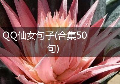 QQ仙女句子(合集50句)