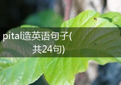 pital造英语句子(共24句)