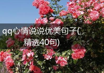 qq心情说说优美句子(精选40句)