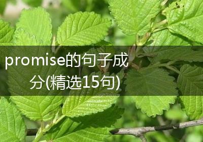 promise的句子成分(精选15句)