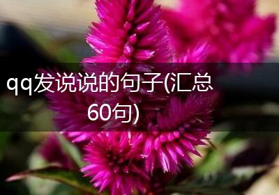 qq发说说的句子(汇总60句)