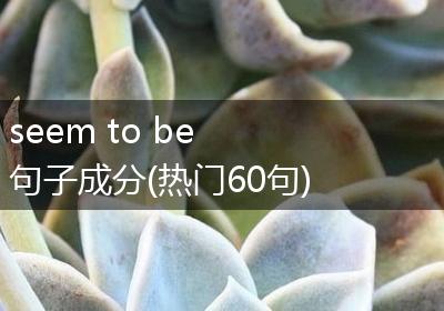 seem to be 句子成分(热门60句)