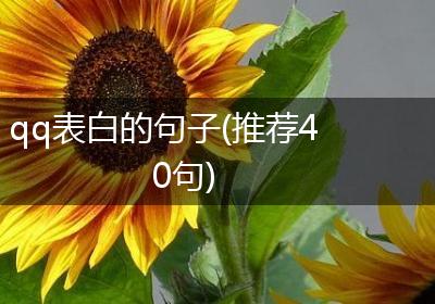 qq表白的句子(推荐40句)