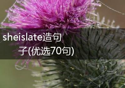 sheislate造句子(优选70句)