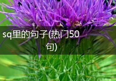 sq里的句子(热门50句)