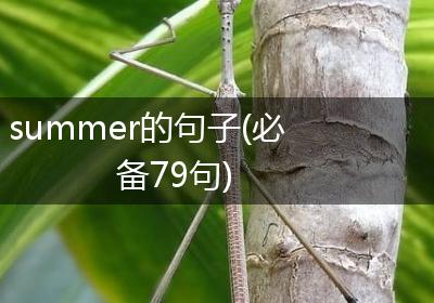summer的句子(必备79句)