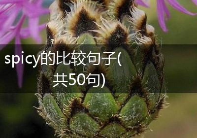 spicy的比较句子(共50句)