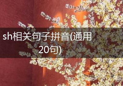 sh相关句子拼音(通用20句)
