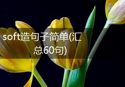 soft造句子简单(汇总60句)