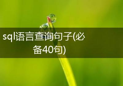sql语言查询句子(必备40句)