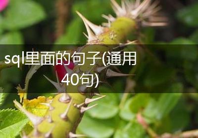 sql里面的句子(通用40句)