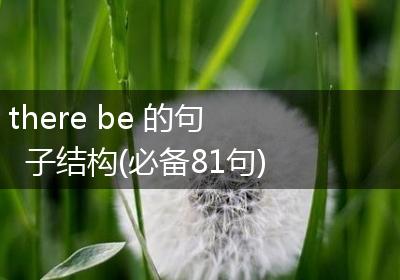 there be 的句子结构(必备81句)