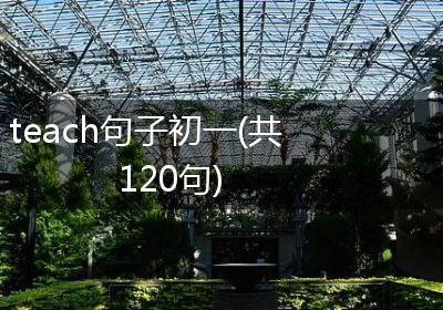 teach句子初一(共120句)