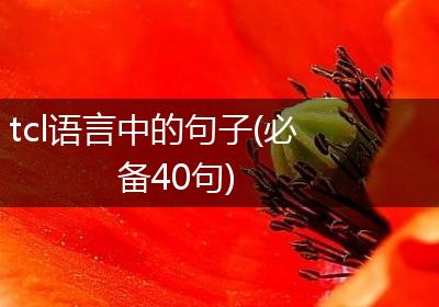 tcl语言中的句子(必备40句)