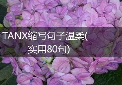 TANX缩写句子温柔(实用80句)