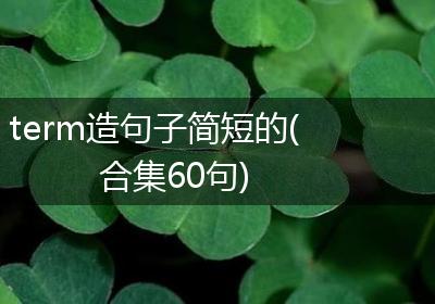 term造句子简短的(合集60句)