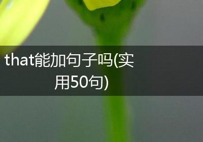 that能加句子吗(实用50句)