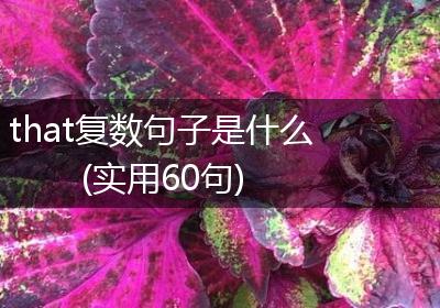 that复数句子是什么(实用60句)