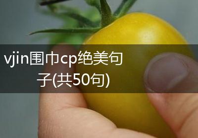 vjin围巾cp绝美句子(共50句)