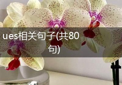 ues相关句子(共80句)
