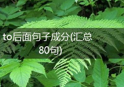 to后面句子成分(汇总80句)