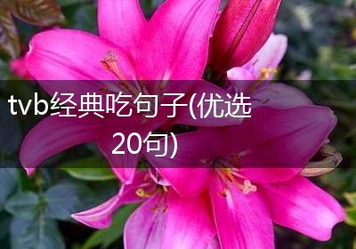 tvb经典吃句子(优选20句)