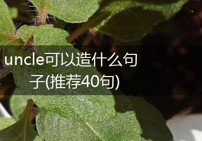 uncle可以造什么句子(推荐40句)