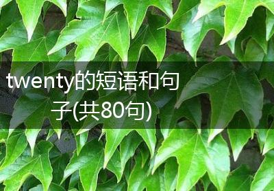 twenty的短语和句子(共80句)