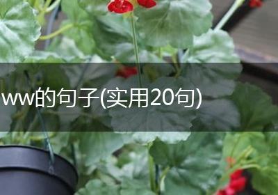 ww的句子(实用20句)