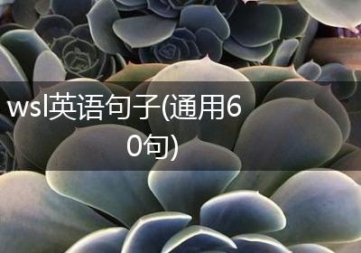 wsl英语句子(通用60句)