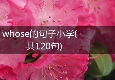whose的句子小学(共120句)