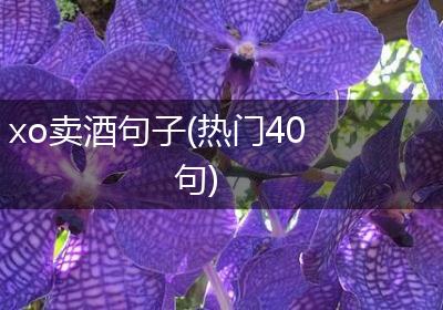 xo卖酒句子(热门40句)