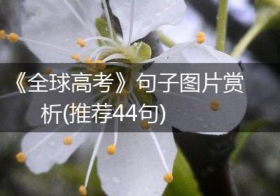 《全球高考》句子图片赏析(推荐44句)