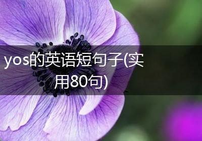 yos的英语短句子(实用80句)