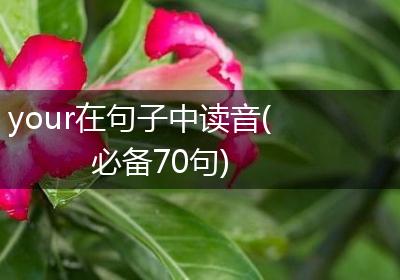 your在句子中读音(必备70句)