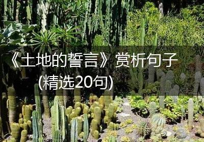 《土地的誓言》赏析句子(精选20句)