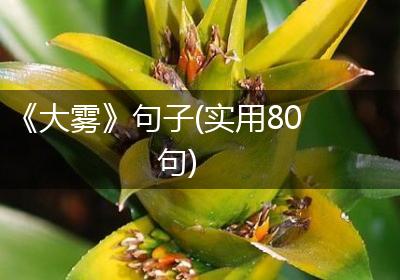 《大雾》句子(实用80句)