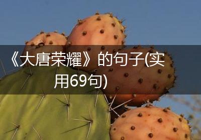 《大唐荣耀》的句子(实用69句)