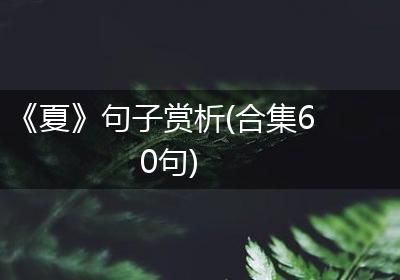 《夏》句子赏析(合集60句)
